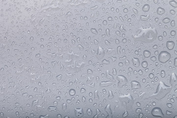 Drops of water on a color background. Gray. Selective focus