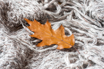 Crumpled grey knitted blanket with autumn oak leaf. Soft and warm fabric is crumpled into folds. Texture for background or illustrations