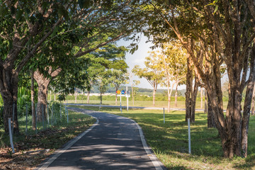 Cycling for the Bike, Spinning in the Park
