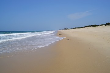 Fototapeta na wymiar Indian Ocean on the beach