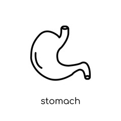 Stomach icon. Trendy modern flat linear vector Stomach icon on white background from thin line Human Body Parts collection