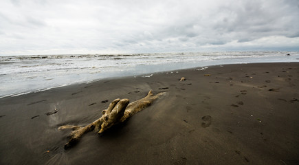 Caspian sea under blue sky in early September, snag on the beach