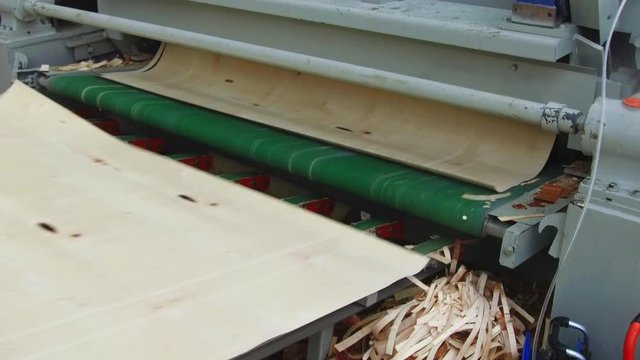 Machine for the production of veneer sheets, in the process.