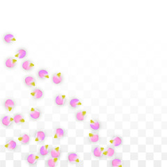 Vector Realistic Pink Petals Falling on Transparent Background.  Spring Romantic Flowers Illustration. Flying Petals. Sakura Spa Design. Blossom Confetti.