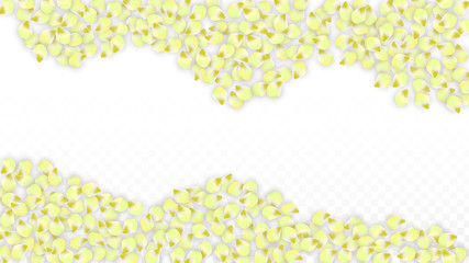 Vector Realistic Pink Petals Falling on Transparent Background.  Spring Romantic Flowers Illustration. Flying Petals. Sakura Spa Design. Blossom Confetti.