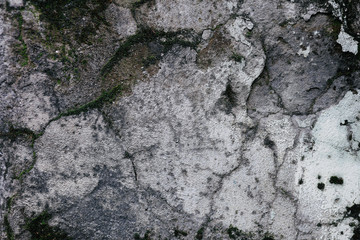 rough texture of a old gray wall.