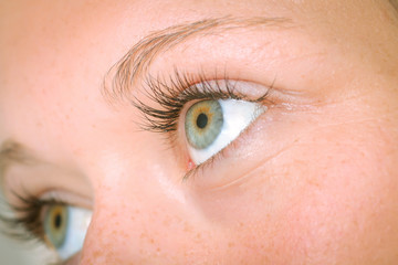 Fototapeta na wymiar Eyelash extension procedure, woman eye with Long eyelashes