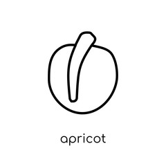Apricot icon from Fruit and vegetables collection.
