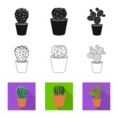 Vector illustration of cactus and pot icon. Set of cactus and cacti stock symbol for web.