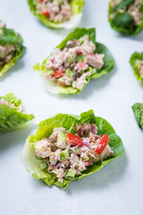 Tuna Cucumber Pepper Wraps