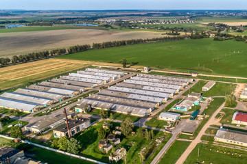 Animal husbandry, a large farm for growing pigs. Evening shooting.