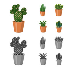 Vector illustration of cactus and pot sign. Set of cactus and cacti stock symbol for web.