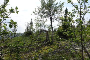 Nature Travel Landscape