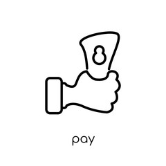 Pay icon from collection.