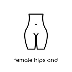 Female hips and waist icon. Trendy modern flat linear vector Female hips and waist icon on white background from thin line Human Body Parts collection