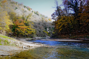 Obraz premium River bends through a colorful autumn forest surrounded by high mountains