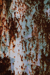 rough texture of a old brown wall.