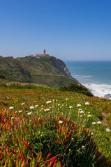 Fototapeta na wymiar Armeria Maritima Alba commonly known as Sea Thrift blooming on the cliffs of Cabo da Roca in a landscape with the lighthouse and Atlantic Ocean turquoise waters in the background.