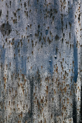 rough texture of a old gray wall.