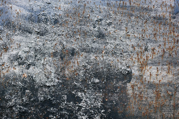 rough texture of a old gray wall.