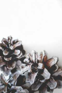 Pine cones on white background. Winter gift card. iPhone wallpaper.
