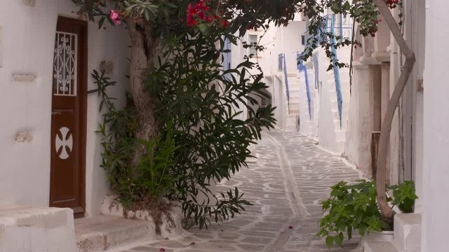 Tilt Up: A Quaint Cobblestone Street in Lefkes With Whitewashed Houses and Trees
