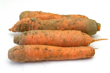 carrots isolated on white background