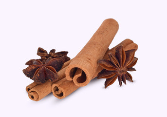 Cinnamon and anisse isolated on neutral