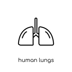 Fototapeta premium Human Lungs icon. Trendy modern flat linear vector Human Lungs icon on white background from thin line Human Body Parts collection