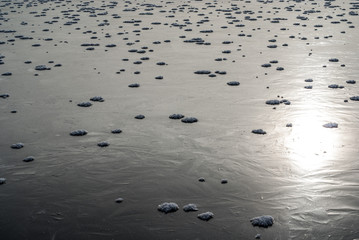 snow flowers are a rare natural phenomenon