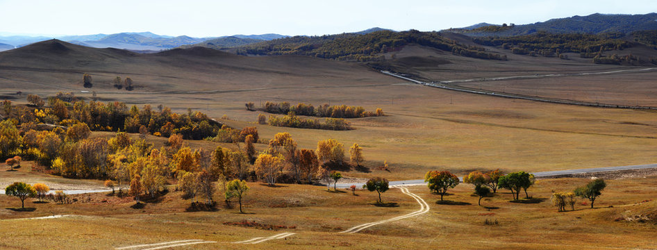 Hebei bashang grassland scenery