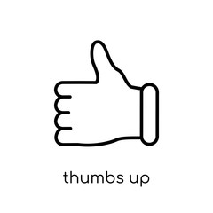 Thumbs up icon. Trendy modern flat linear vector Thumbs up icon on white background from thin line Hands and guestures collection