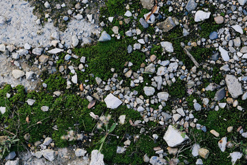 the texture. the stones on the ground.