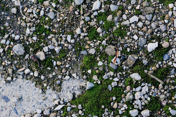 the texture. the stones on the ground.