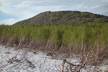 Nature Travel Landscape