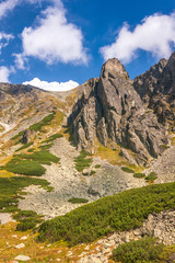 Mountain landscape, The Mlynicka valley of High Tatras National Park, Slovakia, Europe.
