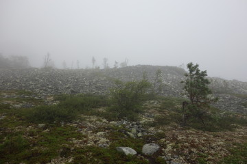 Nature Travel Landscape