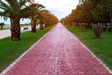 Obraz premium Block road among palm trees at sunset. The road for sports, jogging, movement and walking at sunset
