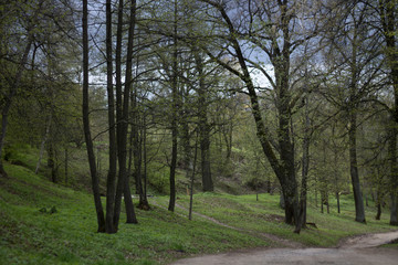 Obraz premium The Spring Day
