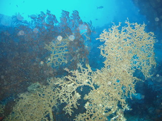 Fototapeta na wymiar Underwater Submarine Subsea
