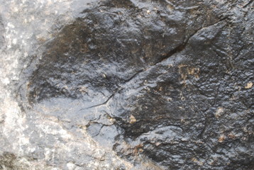 Rock Surface Background