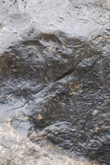 Rock Surface Background