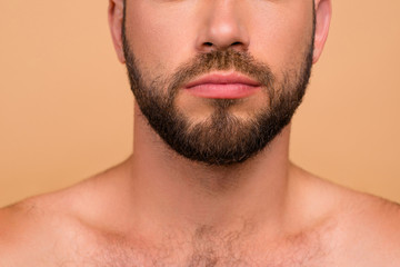 Fototapeta premium Freshness health grooming concept. Cropped close-up of nice bear