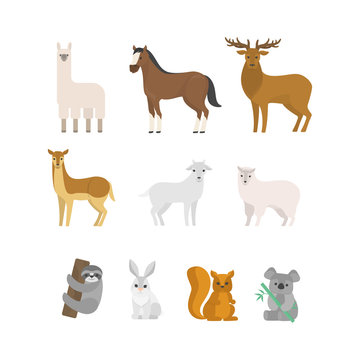 Herbivores animal set. Collection of mammal from forest