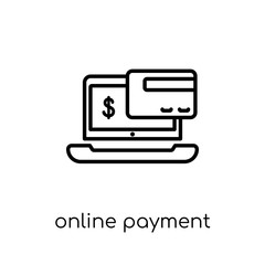 Online payment icon from collection.