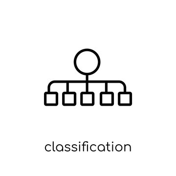 classification icon. Trendy modern flat linear vector classification icon on white background from thin line general collection