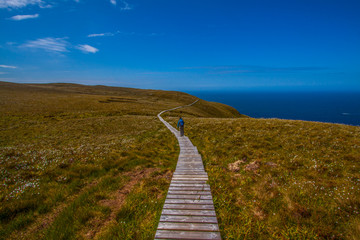 runde - wyspa w norwegi © slawjanek