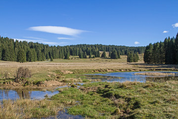 Das Landschaftsbild der Hochebene der Vezzena wird von von Wiesen, Wäldern, vielen Almhütten und idyllischen kleinen Seen geprägt