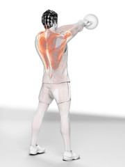 3d rendered medically accurate illustration of a man doing a kettlebell workout