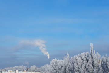 Winter frosty day, nature in the snow and emissions